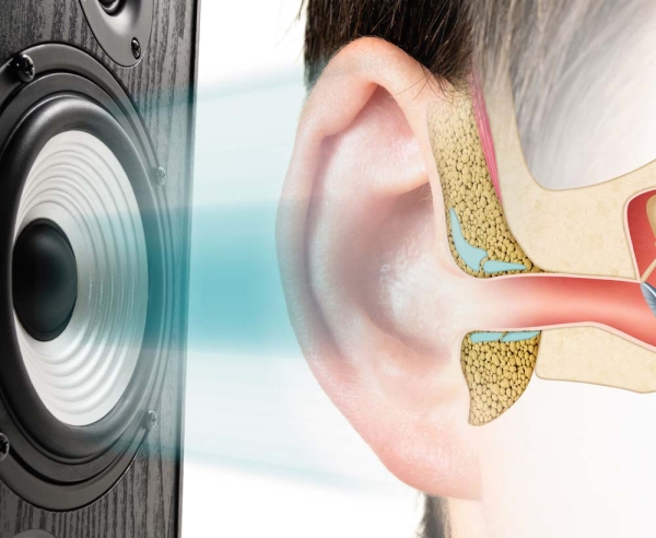 Otoskleroz